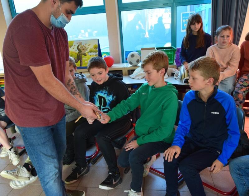 Reptischool