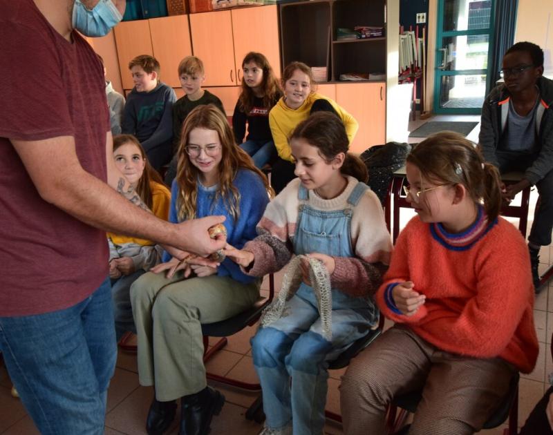 Reptischool