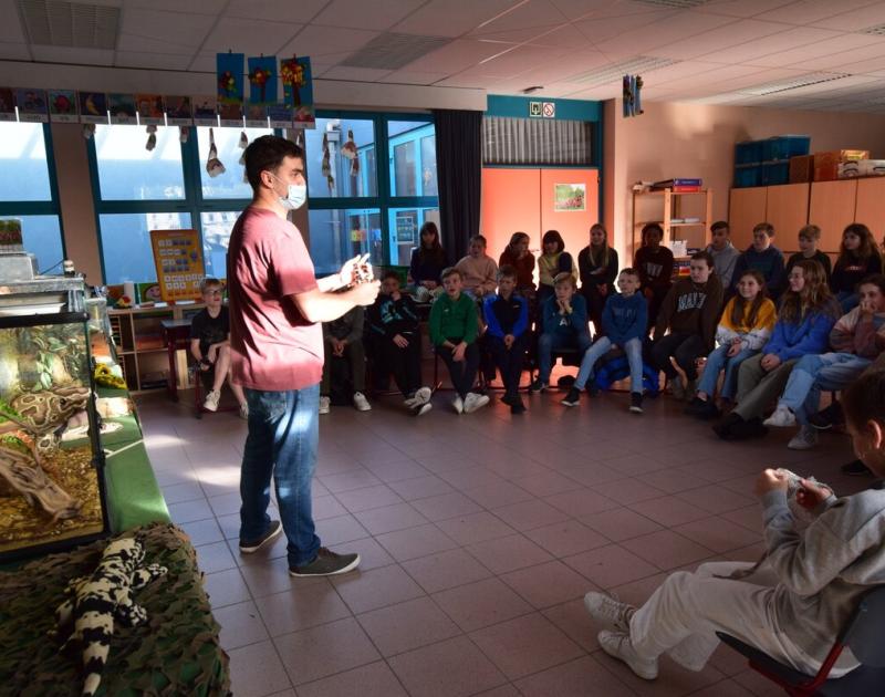 Reptischool