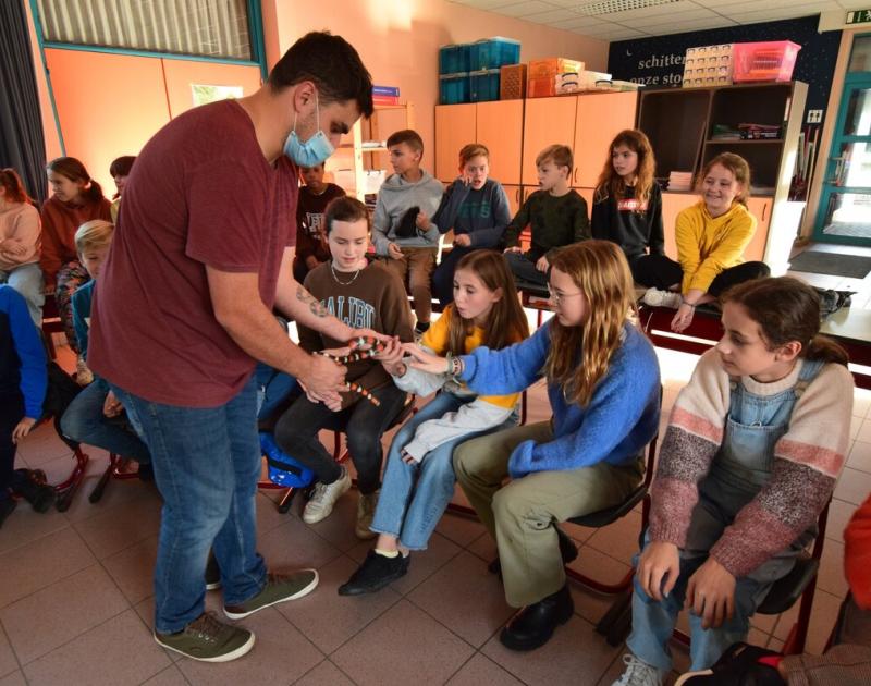 Reptischool