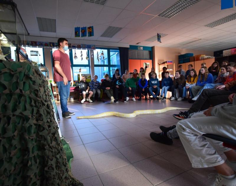 Reptischool