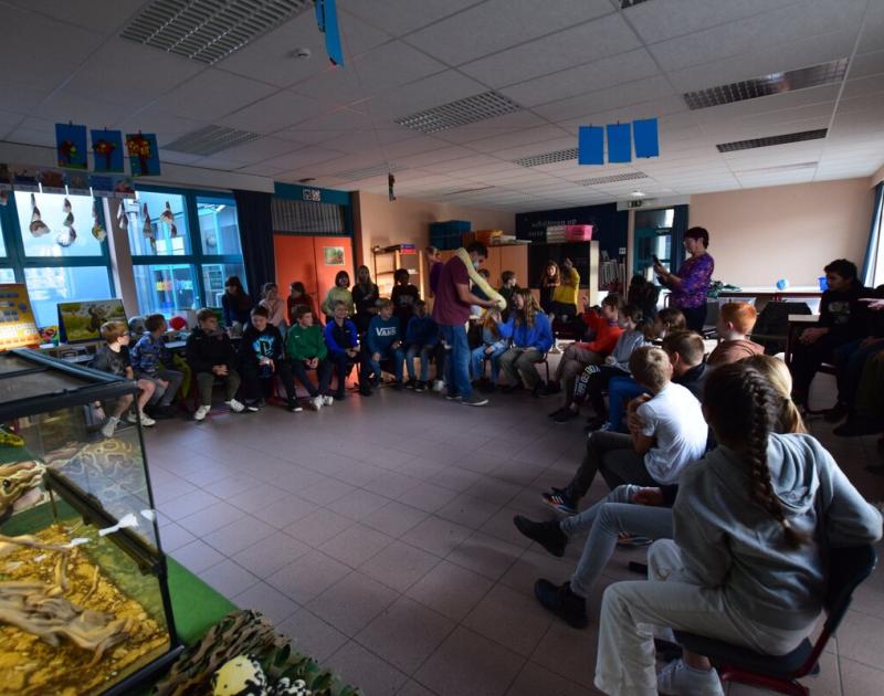Reptischool