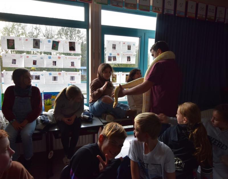 Reptischool