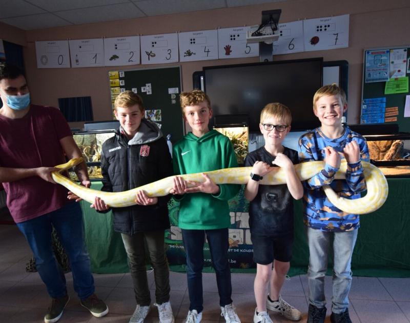 Reptischool