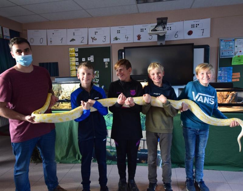 Reptischool