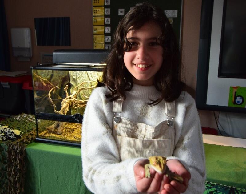 Reptischool