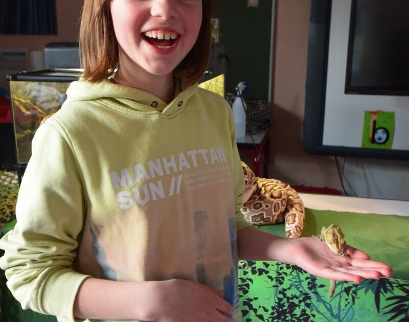 Reptischool