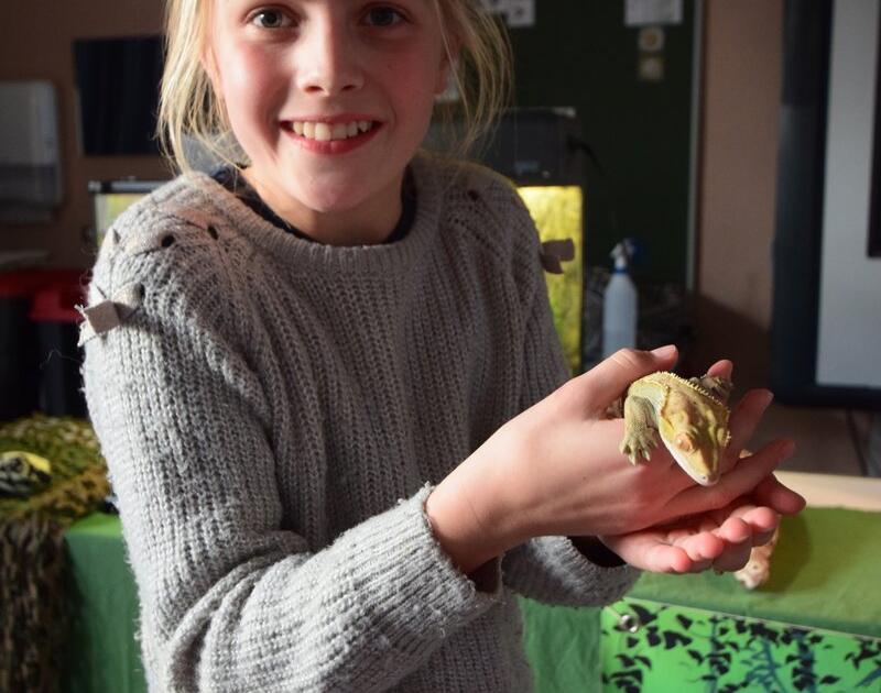 Reptischool