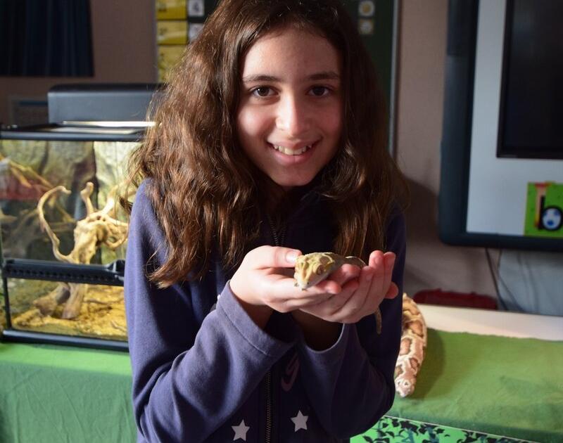 Reptischool