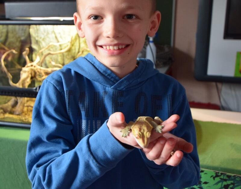 Reptischool