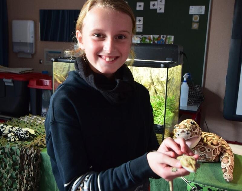 Reptischool