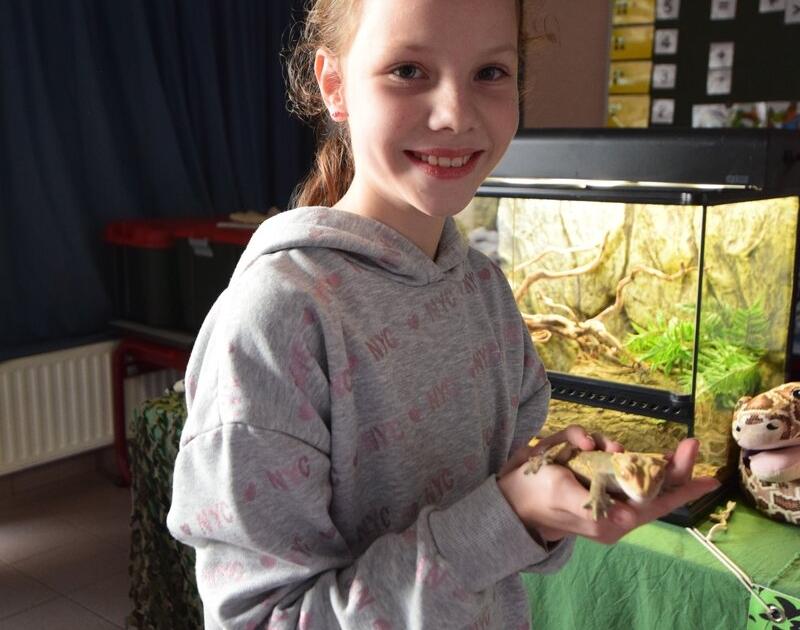 Reptischool
