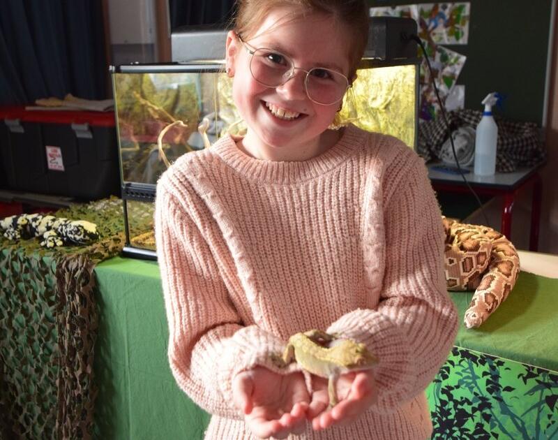 Reptischool