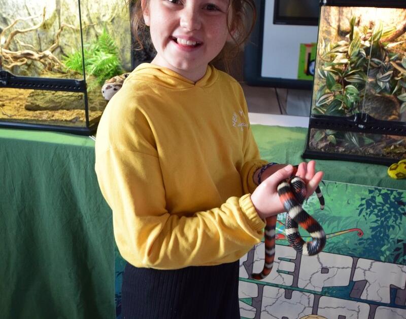 Reptischool
