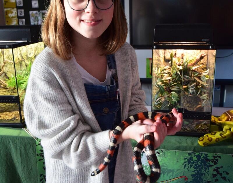 Reptischool