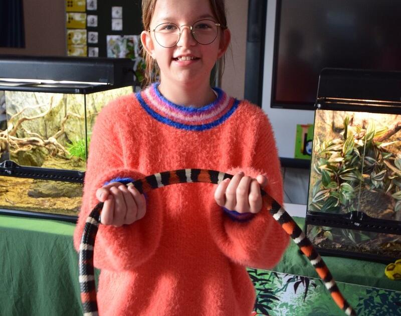 Reptischool