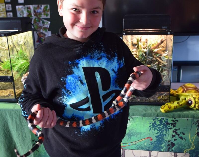 Reptischool