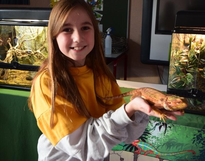 Reptischool