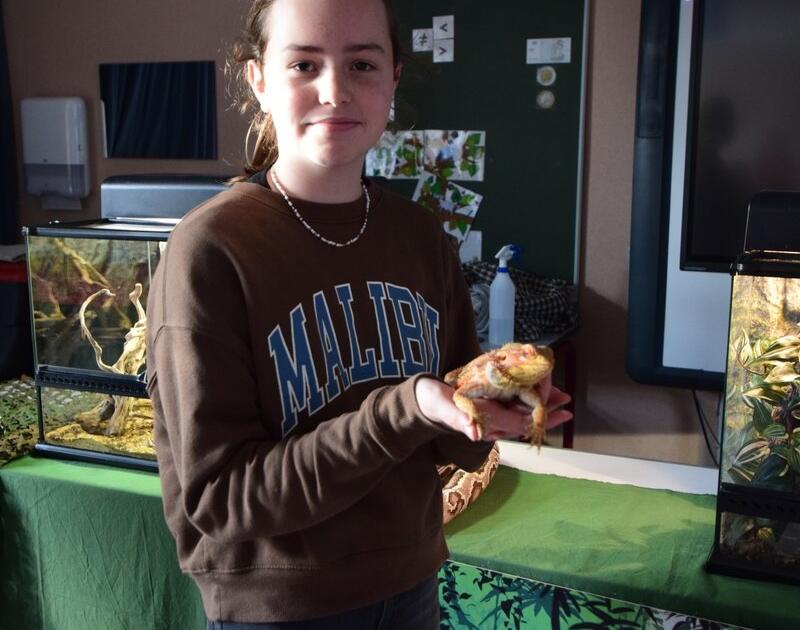 Reptischool
