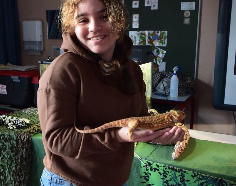 Reptischool