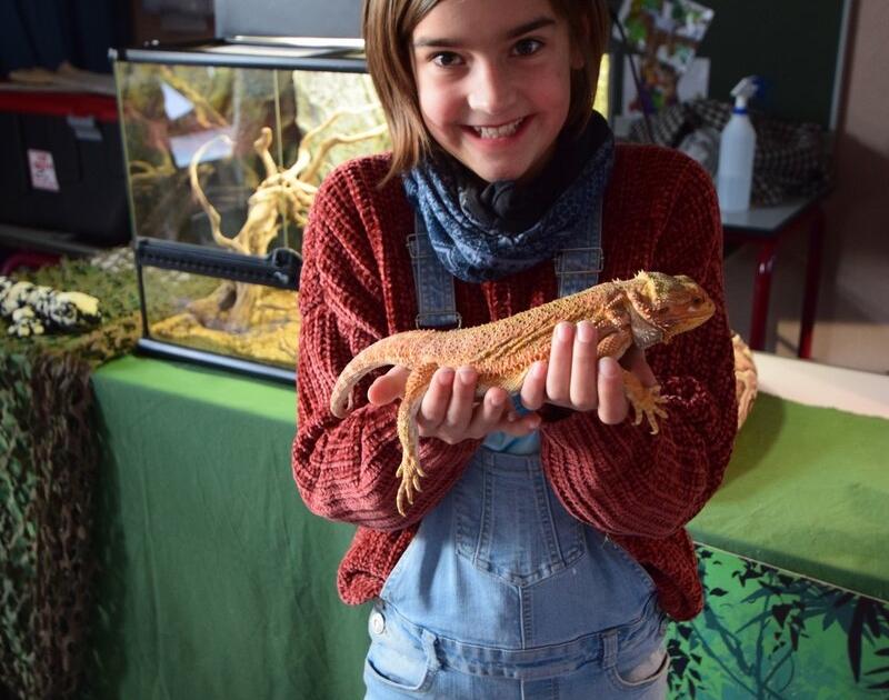 Reptischool