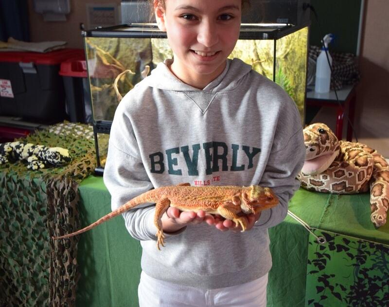 Reptischool