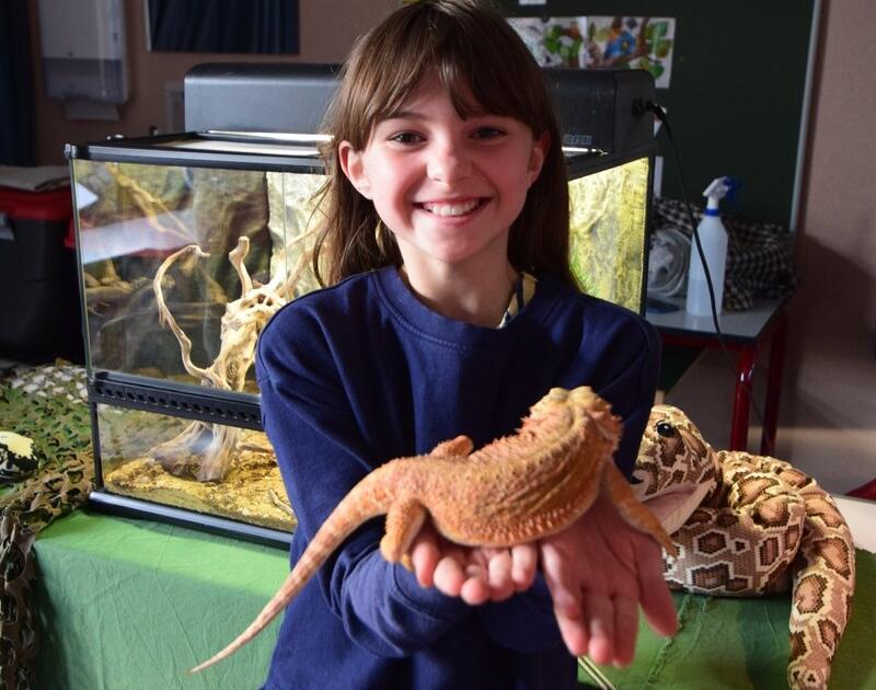 Reptischool