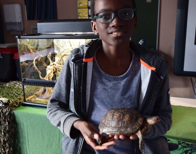 Reptischool