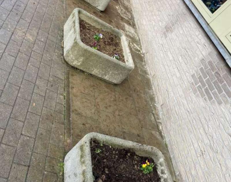 Dikketruiendag