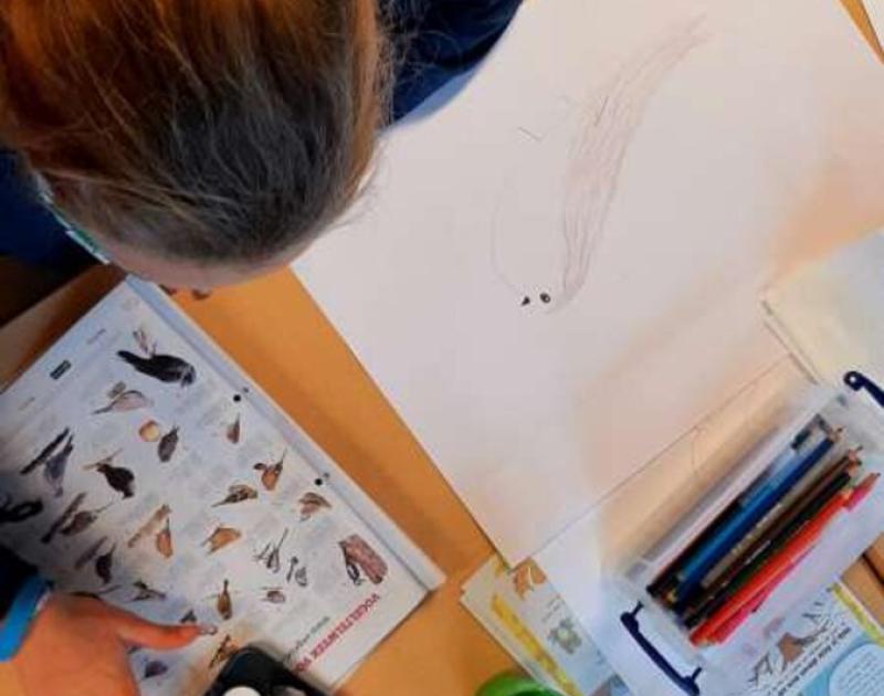 Klasblog 3de leerjaar
