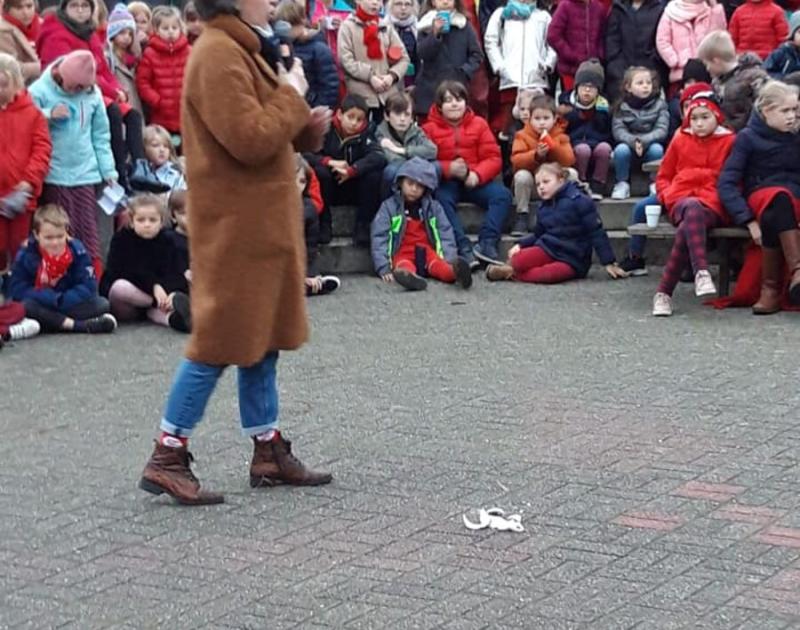 Rode neuzen school