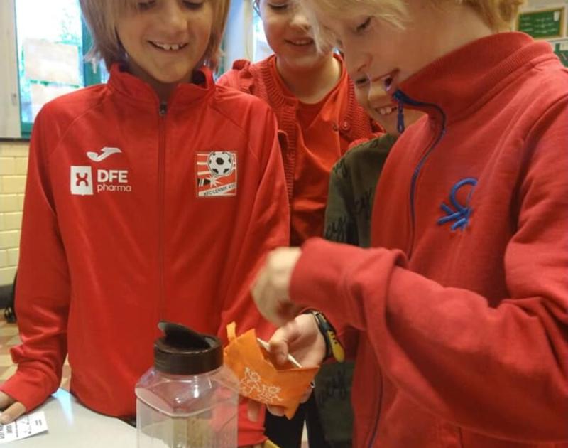 Rode neuzen school