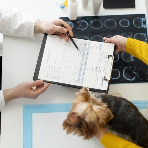 hond op consultatie bij dierenarts