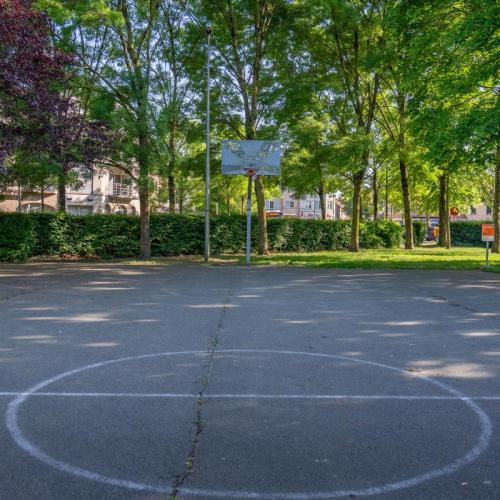 foto basketterrein in open lucht