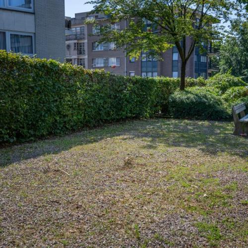 foto van petanqueplein