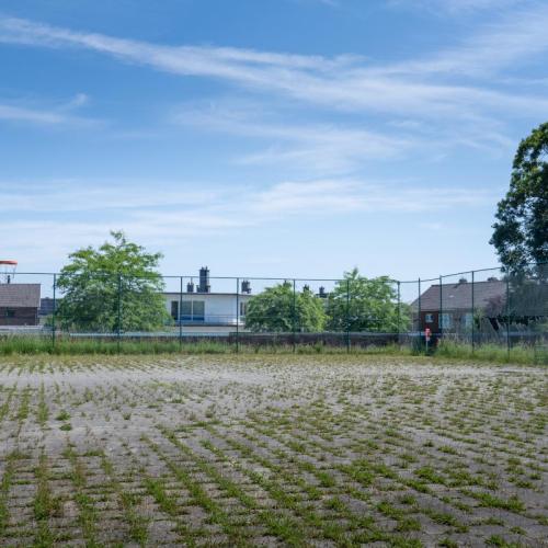 foto basketterrein in open lucht