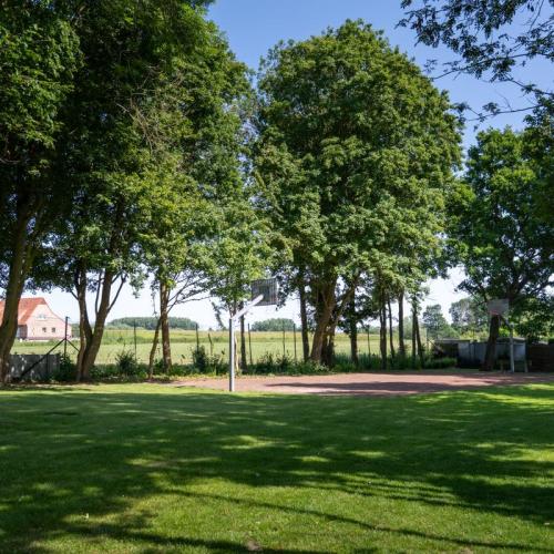 foto van basketterrein in open lucht
