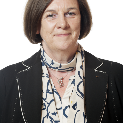 Veiligheid zwembad Veiligheid zwembad