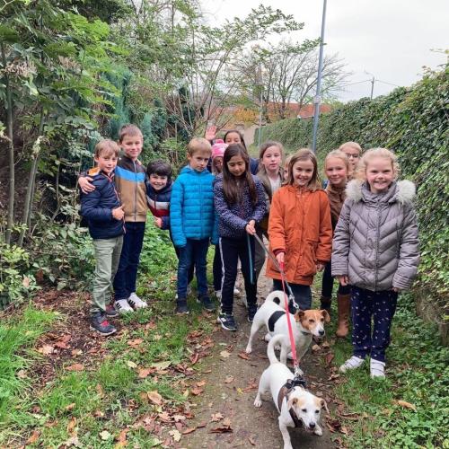 Herfstwandeling