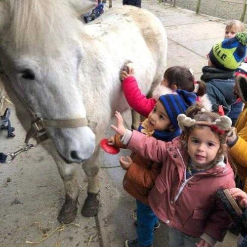 Naar de manège