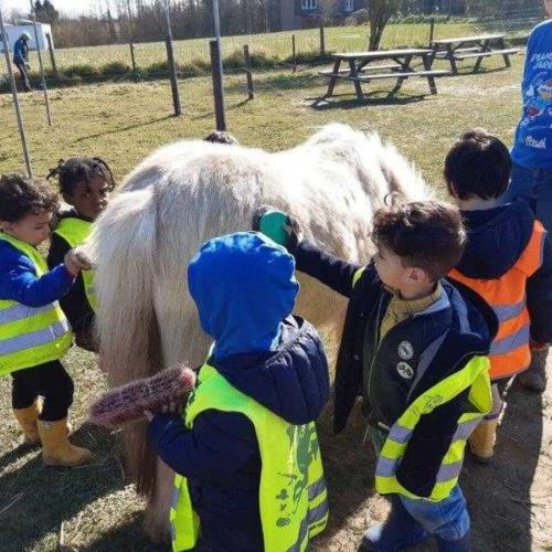 Op uitstap naar de boerderij