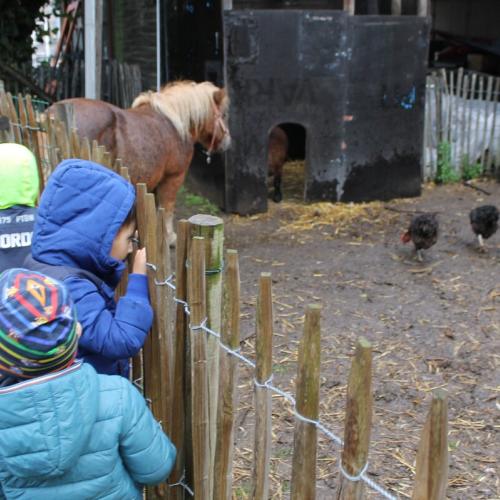 Uitstap naar kinderboerderij 't Bezeke