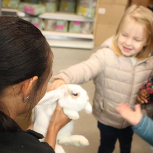 Konijnen kopen in de dierenwinkel