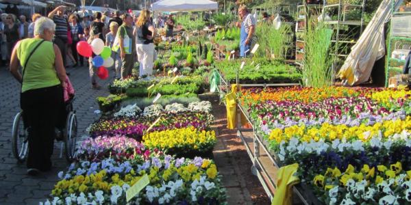 beeld van bloemenkraam op de jaarmarkt