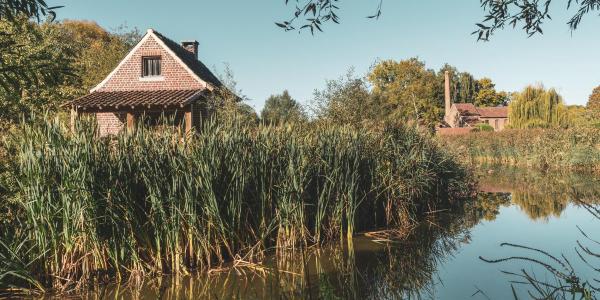 het bakhuis van de pedemolen