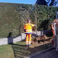 werkman plant boom