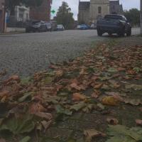 bladeren op de stoep met kerk op de achtergrond
