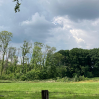 Foto van Essenbos en Eikenbos
