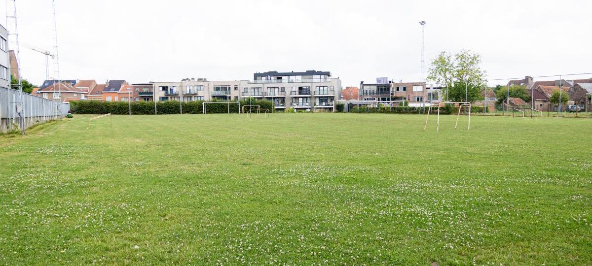 Bosstraat voetbalveld gras
