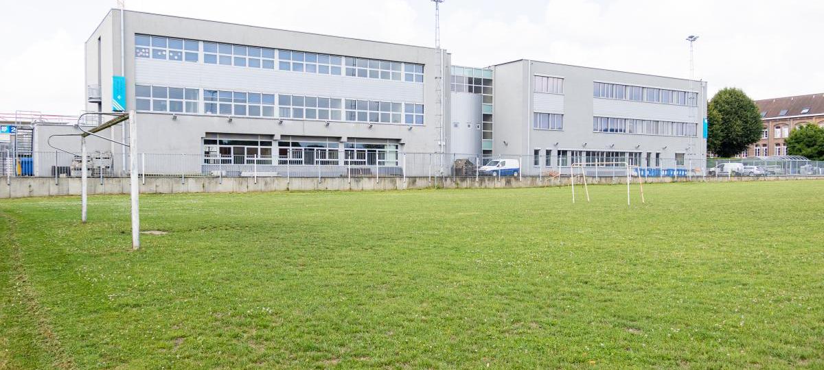 Bosstraat voetbalveld gras